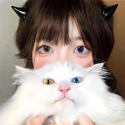 法不容情