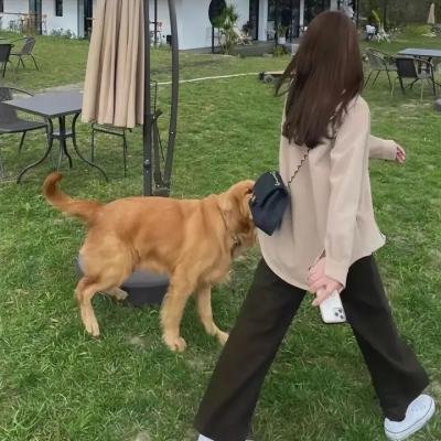 中国大案录